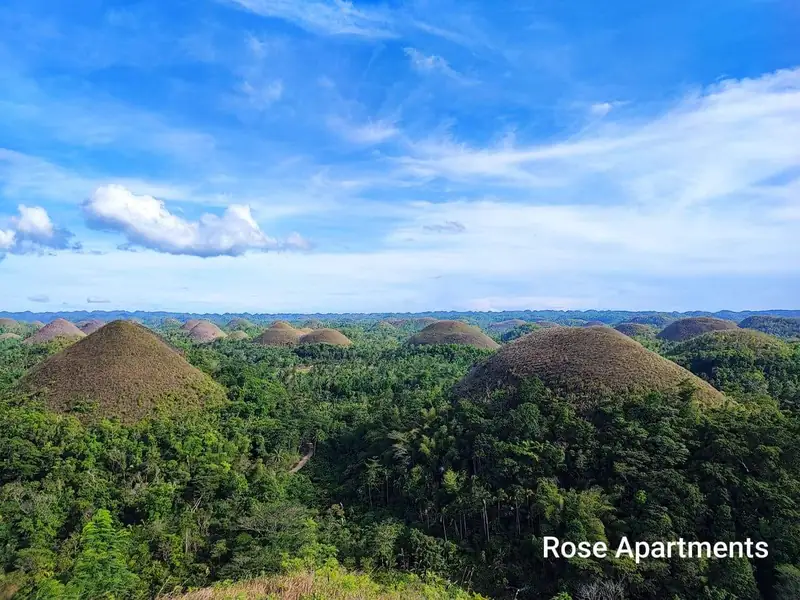 Chocolate Hills