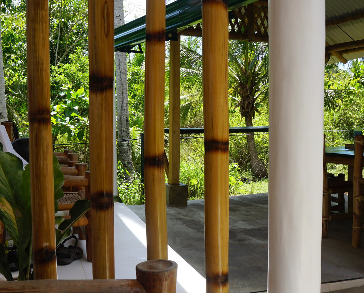 Patio View Room