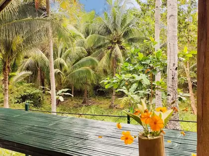Hanging table with valley view