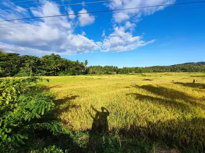 Nature around Rose Apartments Anda Bohol