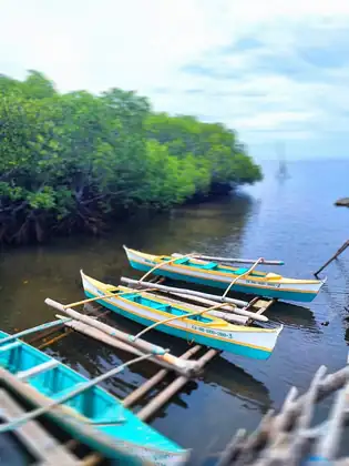 Tropical landscape Anda Bohol Philippines