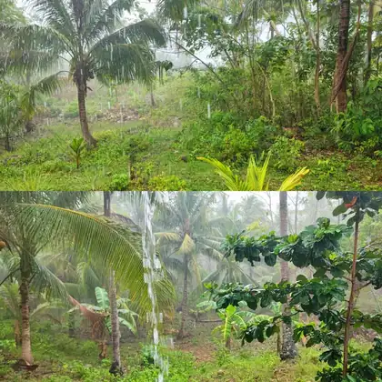 Rainy day at Rose Apartments — Anda Bohol Philippines