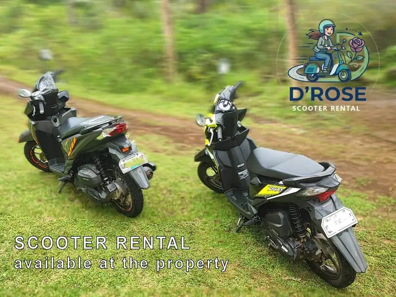 D'Rose Scooter Rental — available at Rose Apartments Anda Bohol